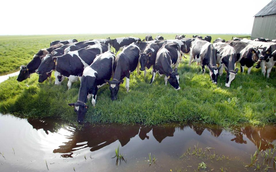 De provincie Groningen vraagt de zogeheten PAS-melders geen leges voor de nieuwe vergunning die ze moeten aanvragen voor hun boerenbedrijf.