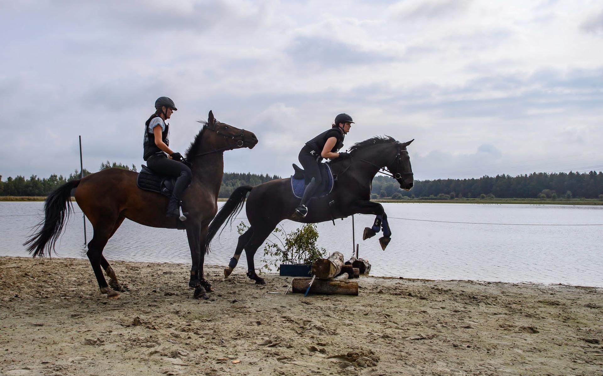 Boscross Sappemeer is een uitdaging voor ruiter en paard. 'We vinden het beiden leuk. Lekker buiten,