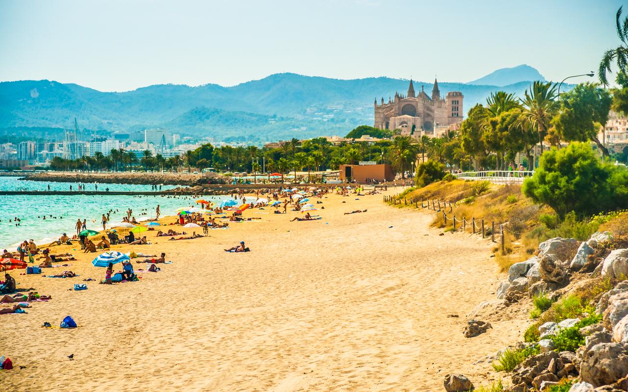 Een strand in Mallorca. Kan het weer? Lees het in dit overzicht. Een strand in Mallorca. Kan het weer? Lees het in dit overzicht.
