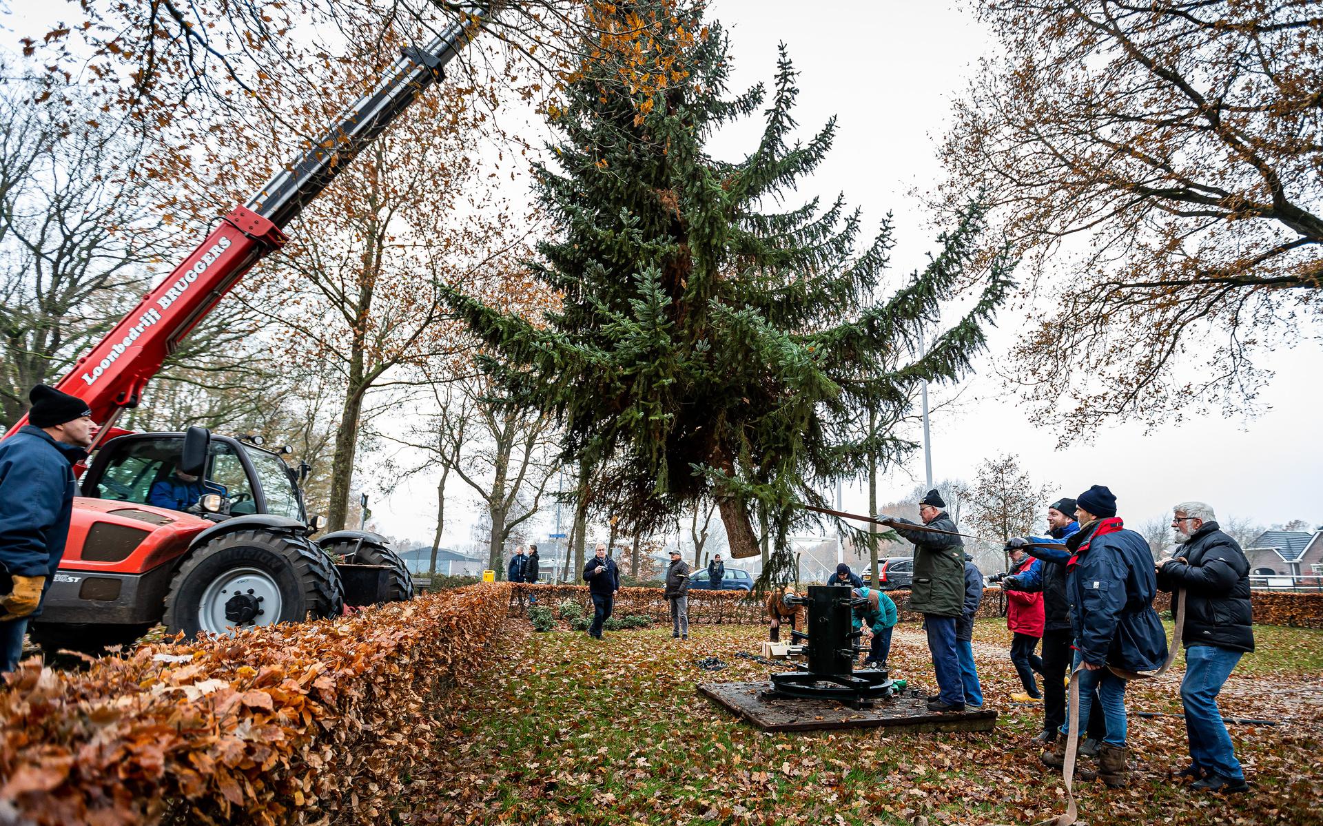 Kerstboom Veele voor het eerst zonder gedoe opgetuigd in hart van het