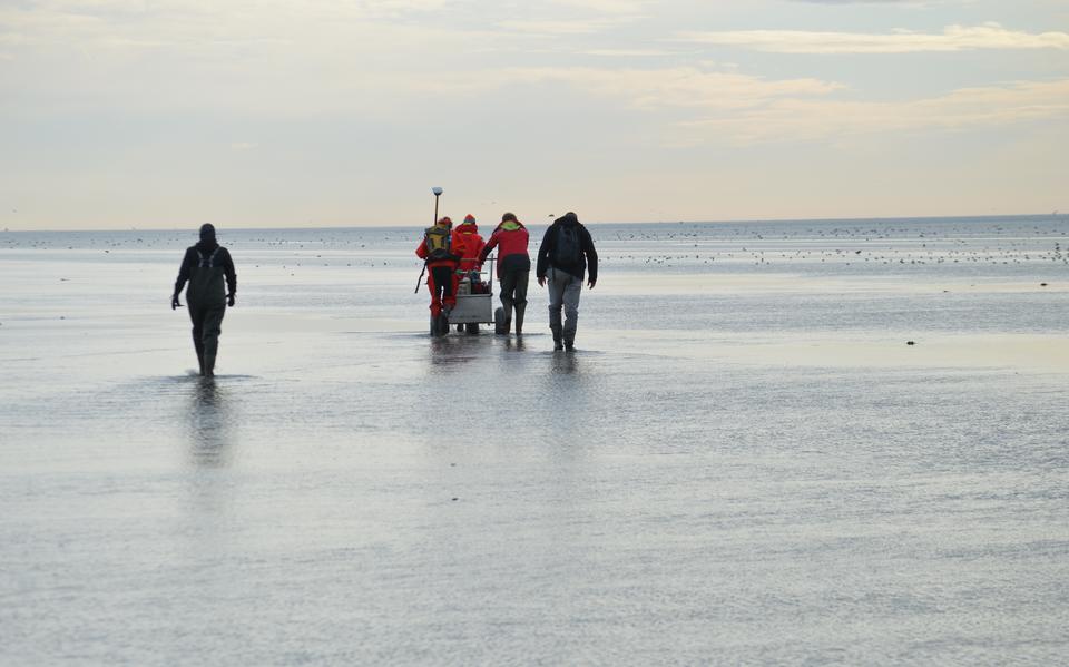 Zeegras inzaaien bij Ameland.