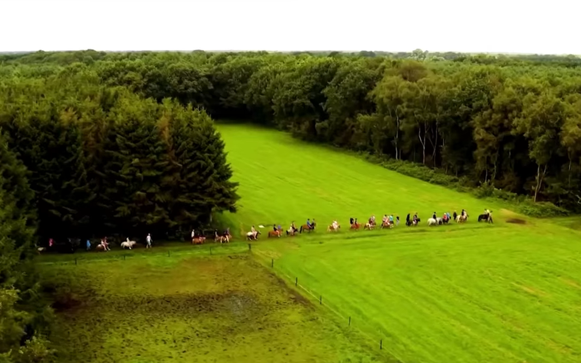 Voor 'The best ponies in the world' moet je niet in Slagharen, maar in Collendoorn zijn - Dagblad va