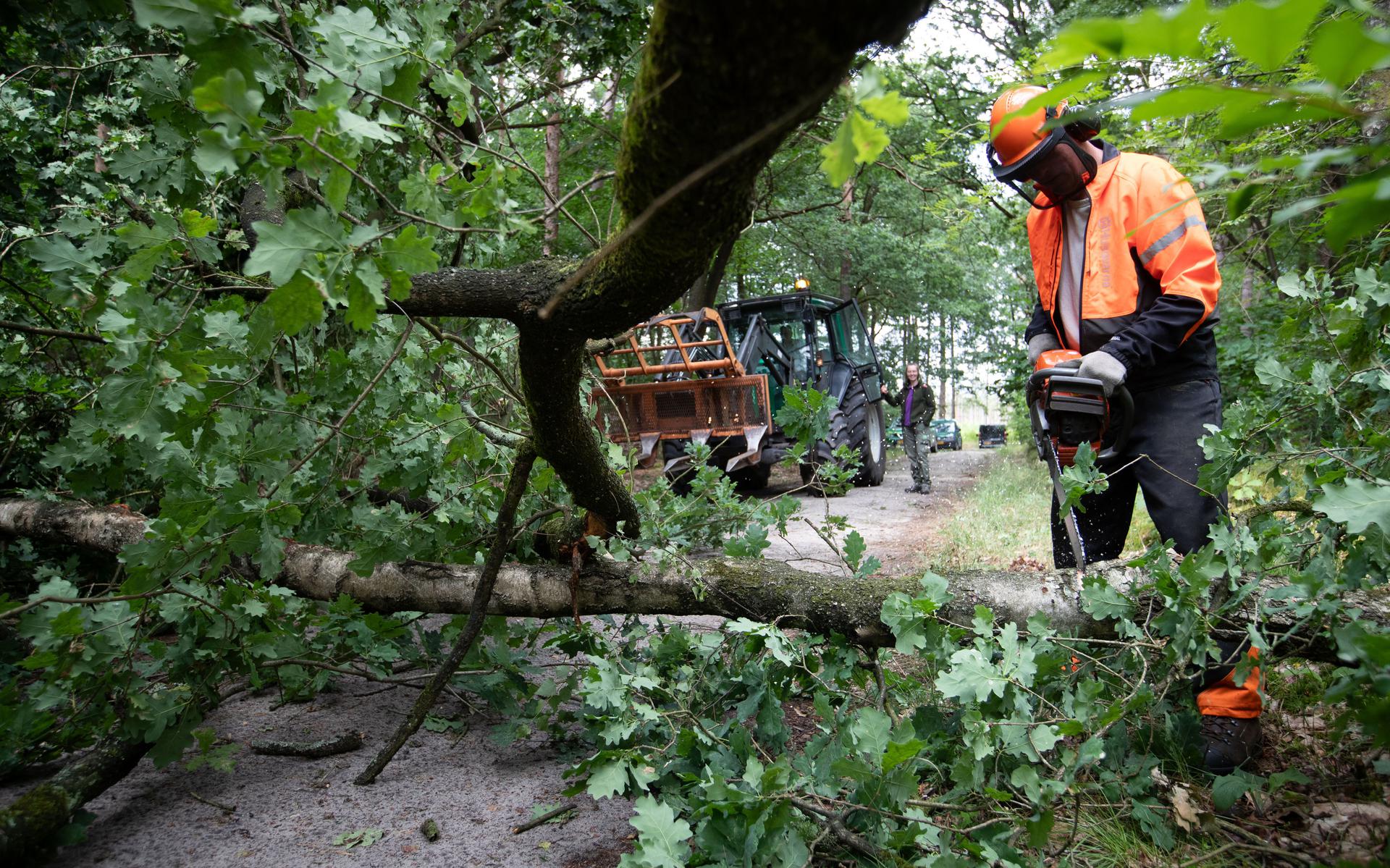 Groningen and Drenthe Weather the Storm: Minimal Damage and Clearing Efforts Underway