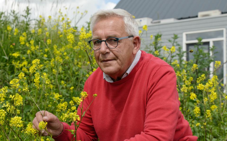 Piet Zijlstra: ,,De straatverlichting kan flink verminderd worden op plekken waar dat asfalt ligt.''