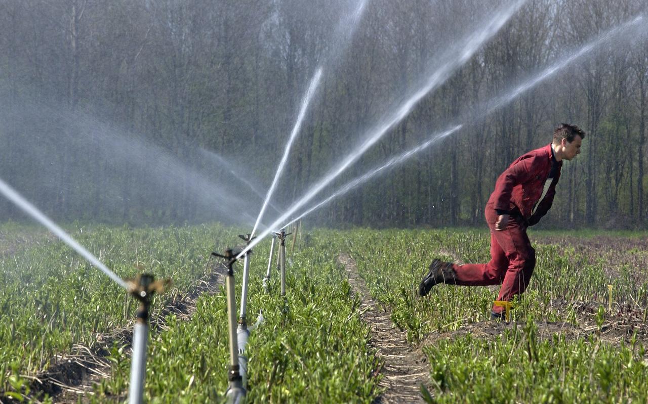 In de strijd tegen droogte en toenemende watertekorten moeten ook 'gewone' burgers meer kunnen meebesturen bij de waterschappen, beogen Kamerleden Bromet en De Groot met een gezamenlijk initiatiefvoorstel. In de strijd tegen droogte en toenemende watertekorten moeten ook 'gewone' burgers meer kunnen meebesturen bij de waterschappen, beogen Kamerleden Bromet en De Groot met een gezamenlijk initiatiefvoorstel.