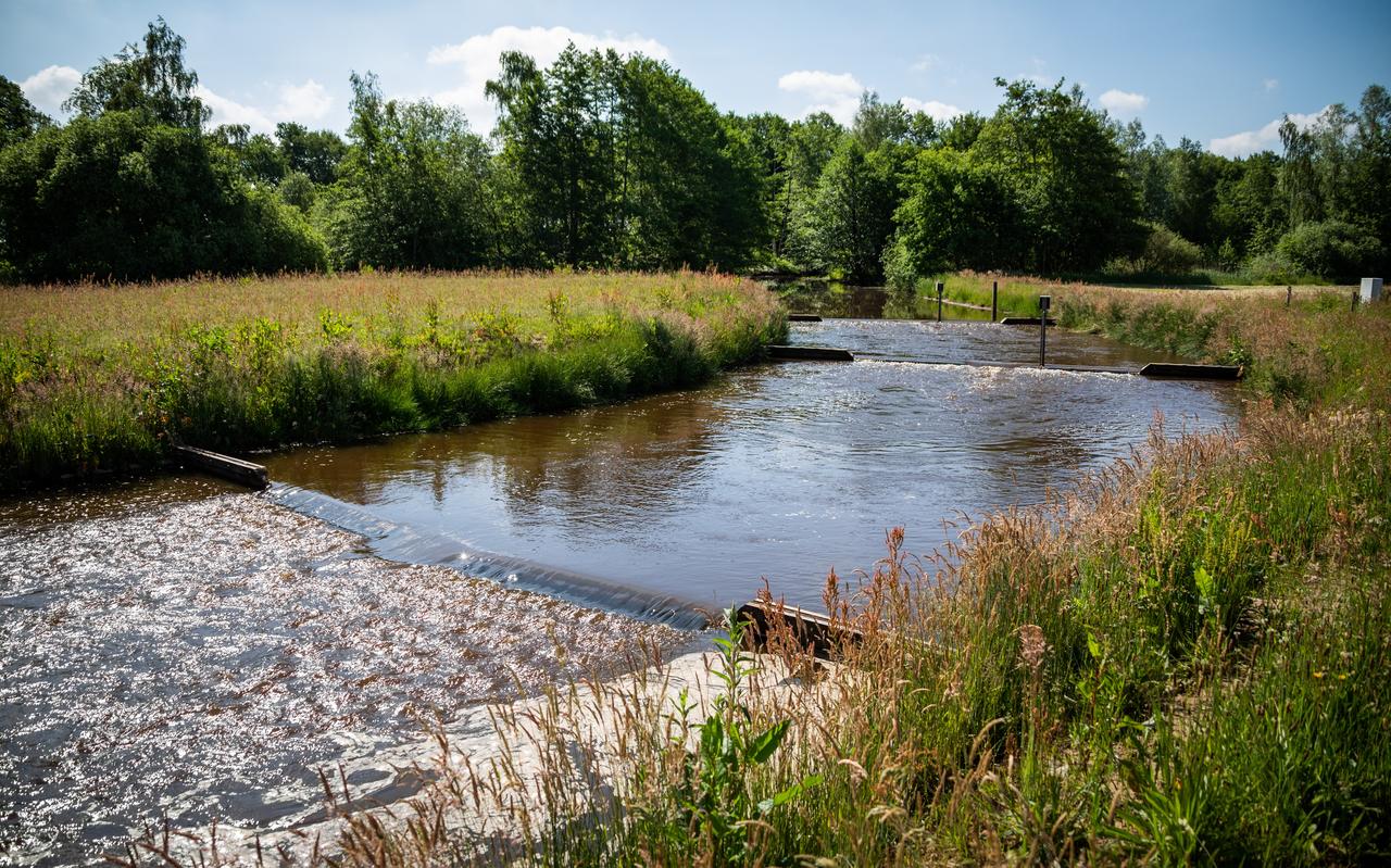 In de Ruiten Aa werden in de afgelopen maatregelen genomen om de doorgang van de vis niet te hinderen In de Ruiten Aa werden in de afgelopen maatregelen genomen om de doorgang van de vis niet te hinderen