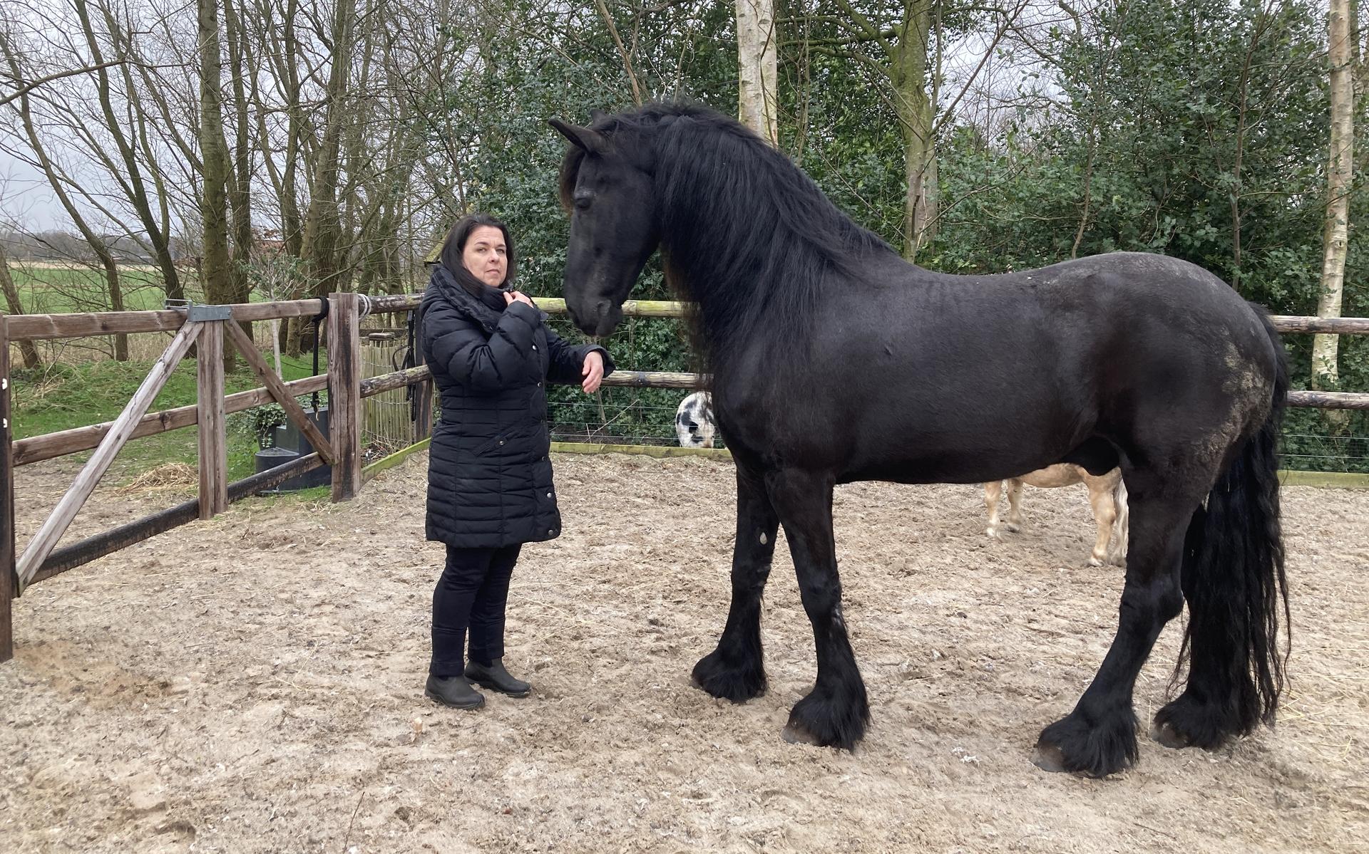 Equine assisted coaching en therapie: Geen woorden maar paarden in Mussel