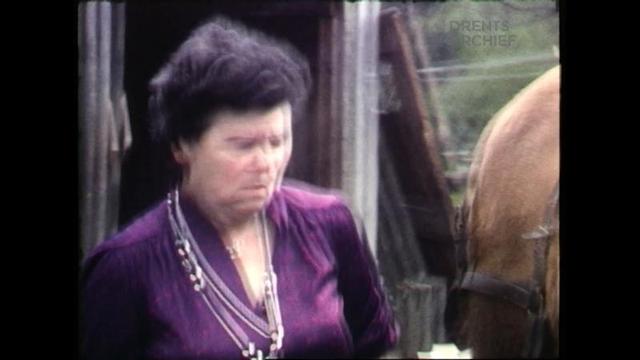 Ga terug naar 1981 en bekijk hoe groenteboer Blaauw in Eelderwolde groentes verkoopt met paard en wa