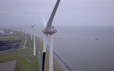De eerste windturbines in de Eemshaven zijn inmiddels voorzien van een zwarte wiek (voorgrond), de komende twee jaar moet blijken of dat leidt tot minder vogelsterfte.