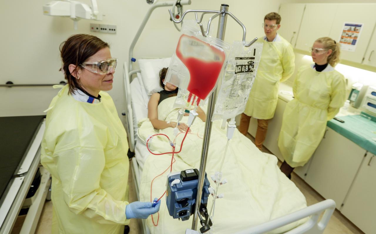Een verpleegkundige dient via een infuus bloed met genetische gemanipuleerde cellen toe aan een patiënt. Foto in scene gezet; op het bed ligt een UMCG-medewerker en het infuus is niet daadwerkelijk aangesloten.
Een verpleegkundige dient via een infuus bloed met genetische gemanipuleerde cellen toe aan een patiënt. Foto in scene gezet; op het bed ligt een UMCG-medewerker en het infuus is niet daadwerkelijk aangesloten.