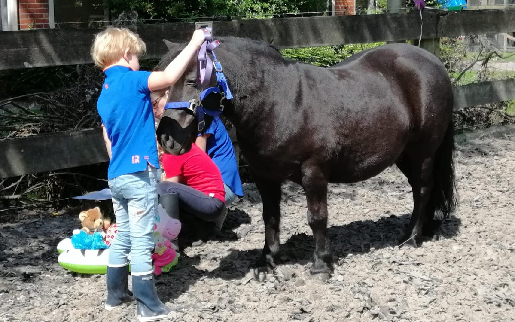Pony plezier in HJC Manege Tolbert - Dagblad van het Noorden - Dagblad van het Noorden