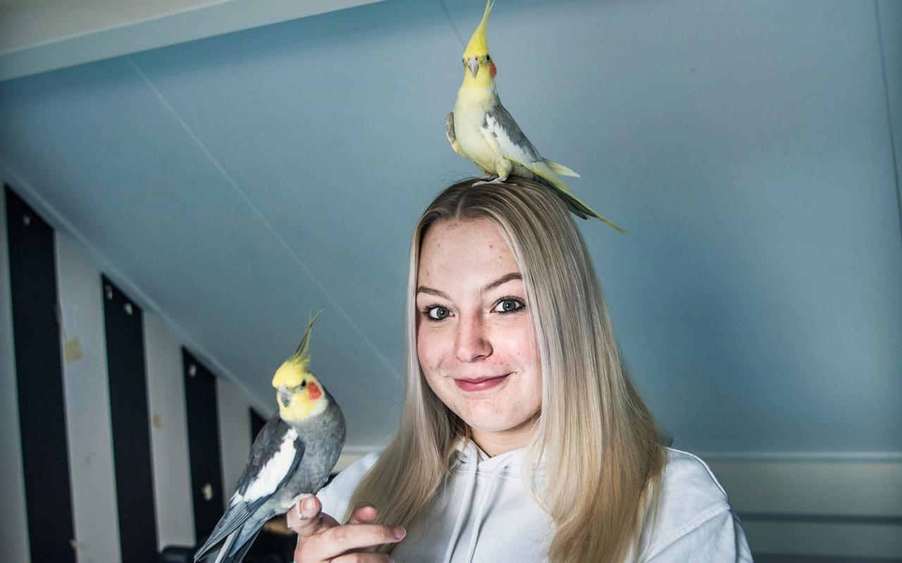 Milenka Zaagman uit Emmen met haar tamme valkparkieten Woezel en Pip. Milenka Zaagman uit Emmen met haar tamme valkparkieten Woezel en Pip.