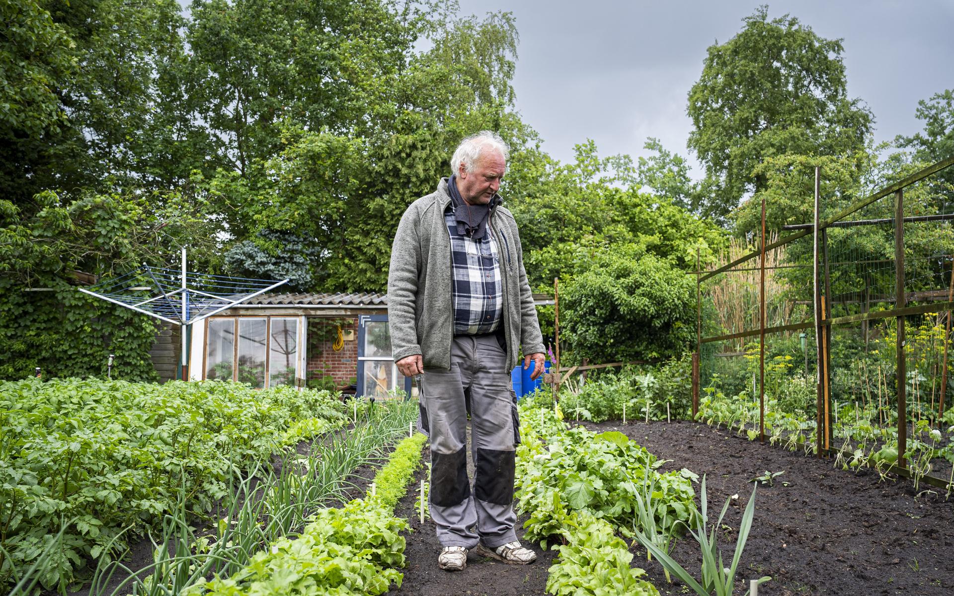 Slakken? Daar heeft Talo (70) uit Slochteren geen last van. Zo creëert ...