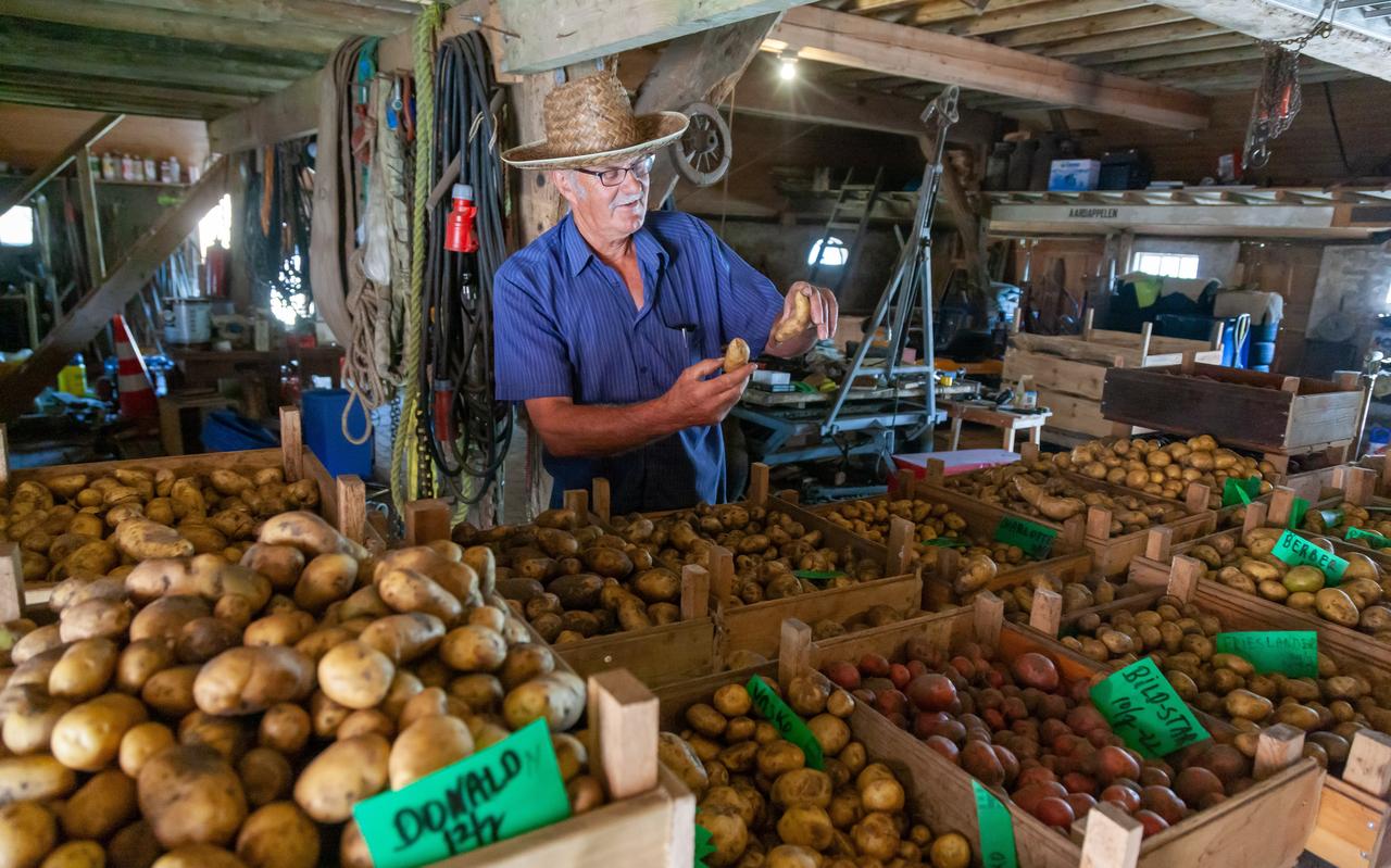 Harry Smit doet aan 'retrofarming' en verbouwt dertig verschillende soorten aardappel. Hij laat zijn ratte-aardappelen zien. Harry Smit doet aan 'retrofarming' en verbouwt dertig verschillende soorten aardappel. Hij laat zijn ratte-aardappelen zien.