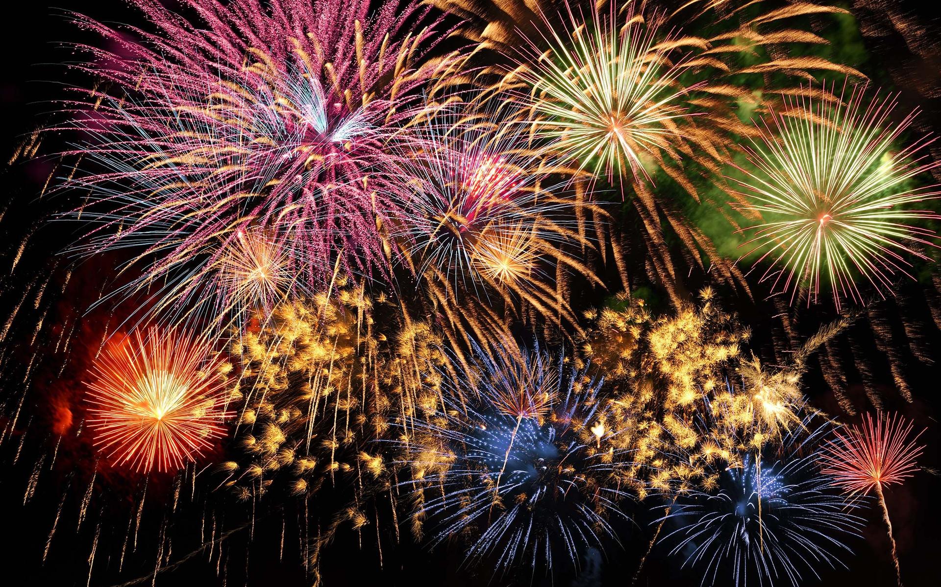 Vuurwerk is leuk voor mensen, maar een nachtmerrie voor dieren.