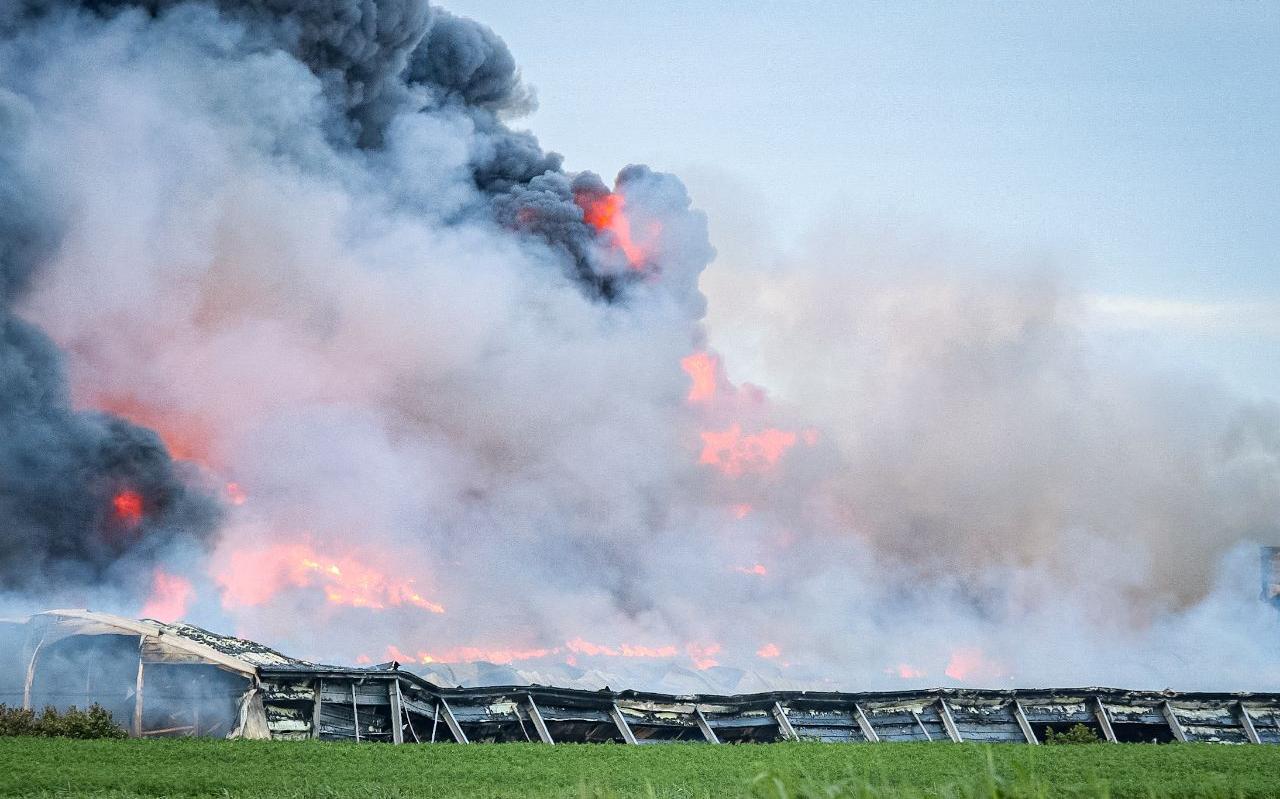 Het vuur legde de kippenschuren in Kiel-Windeweer volledig in de as. Het vuur legde de kippenschuren in Kiel-Windeweer volledig in de as.