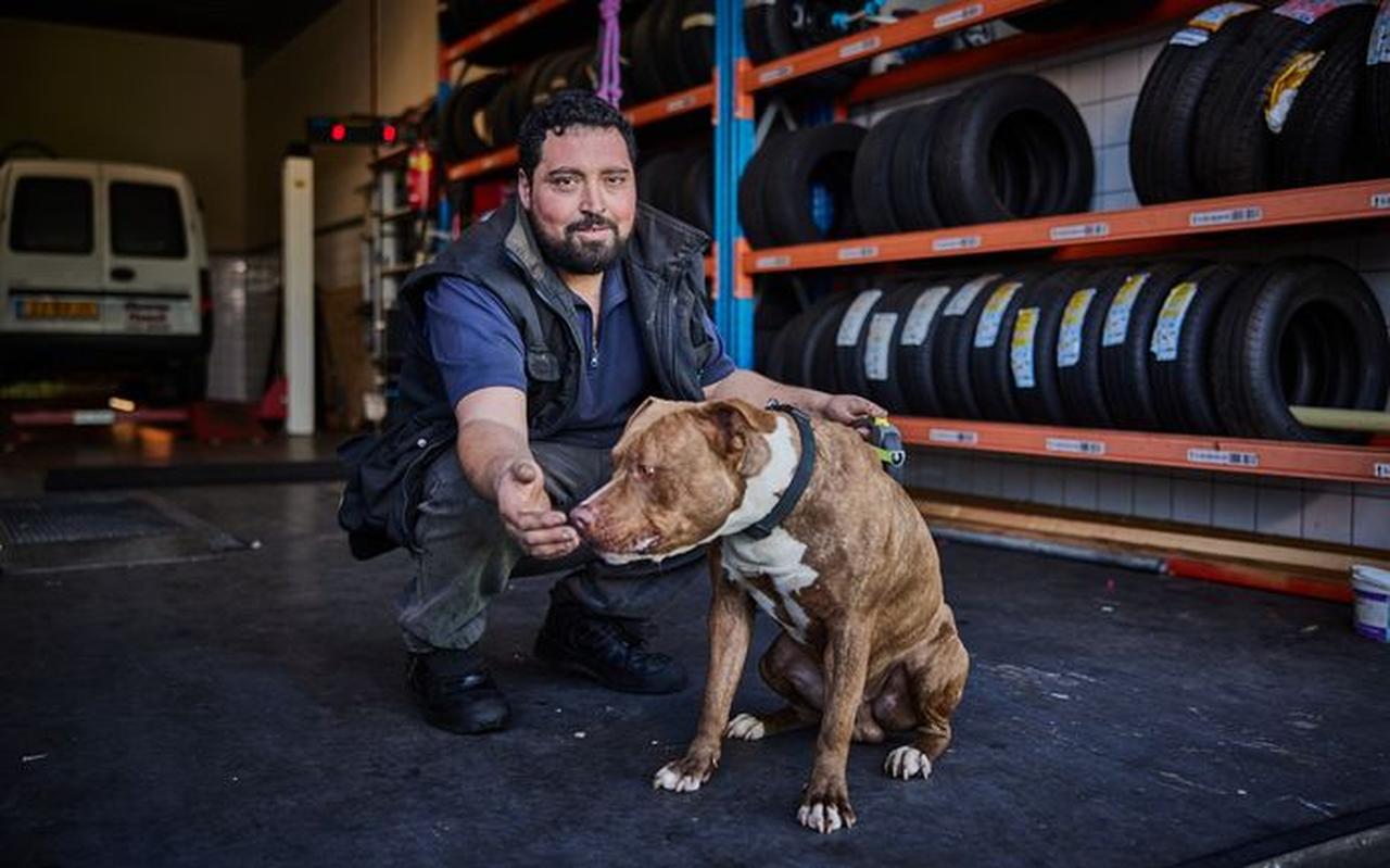 Hond Pasa mist zijn kippenvriendjes, zegt Hamza Karaman. Hond Pasa mist zijn kippenvriendjes, zegt Hamza Karaman.