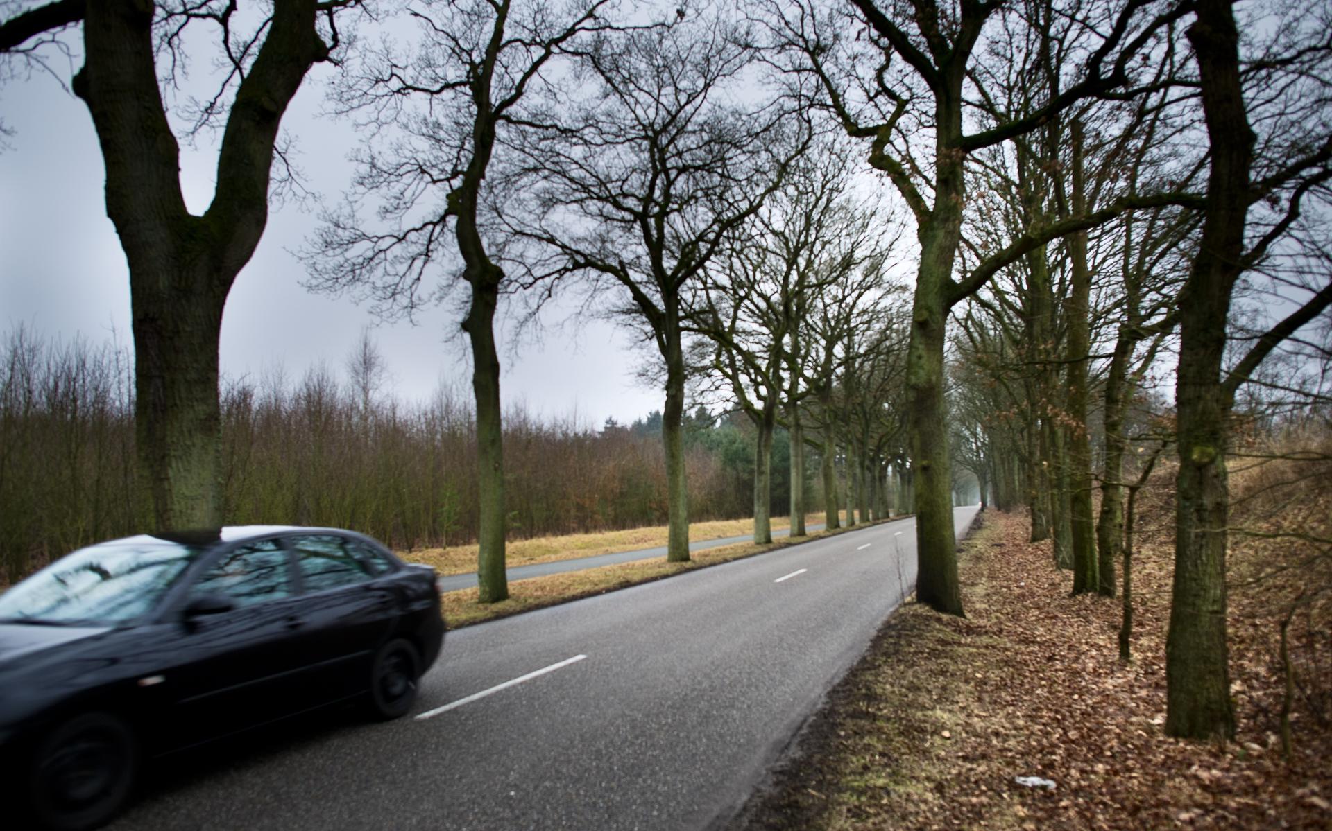 Foto ter illustratie.