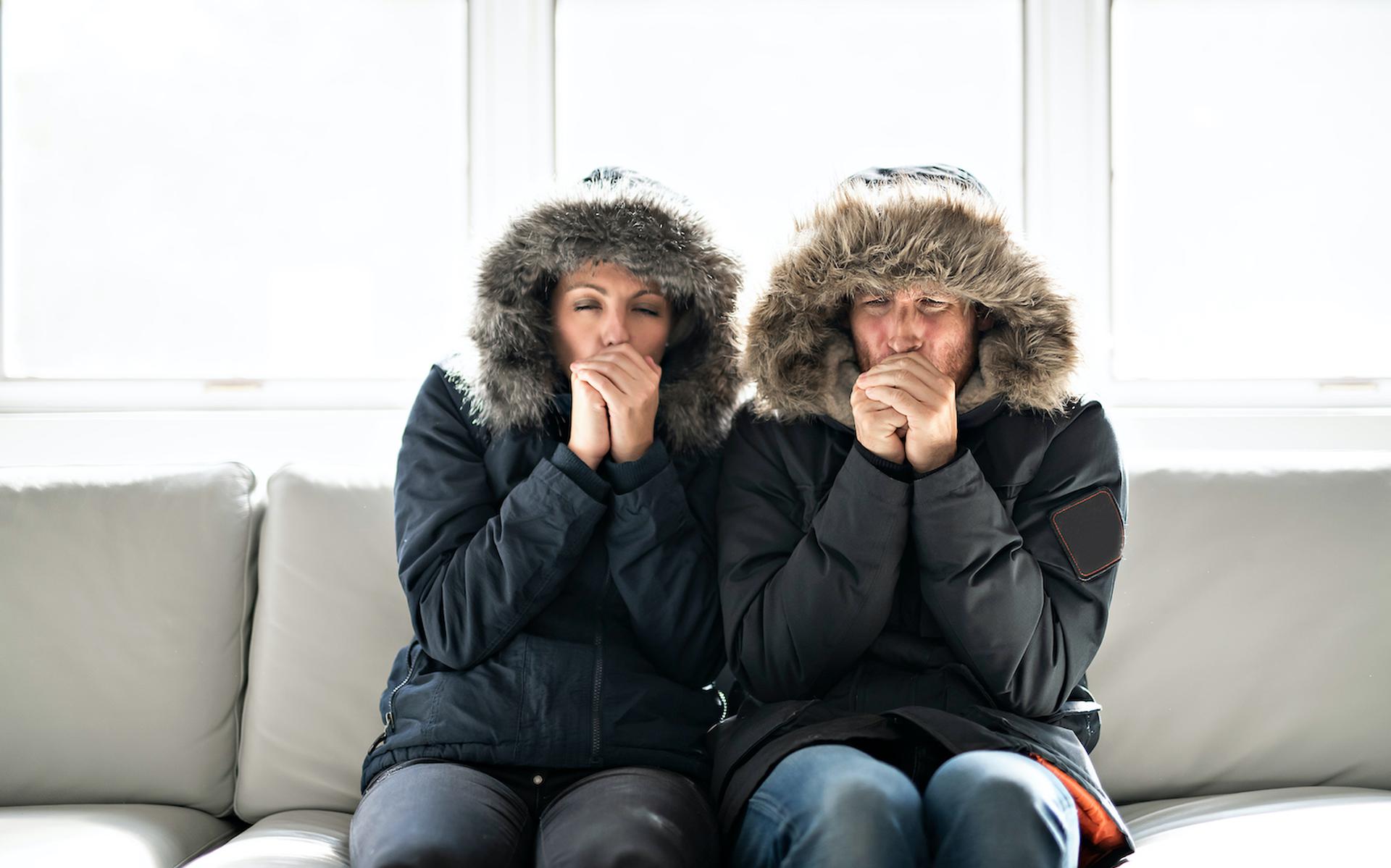 Vakantie lancering Schuldenaar Dit is waarom sommige mensen het altijd koud hebben (en ja: vrouwen hebben  het inderdaad sneller koud) - Dagblad van het Noorden