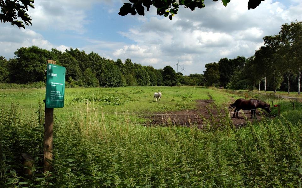 Buurstschap De Lethe bij Bellingwolde met in de verte windmolens. 
