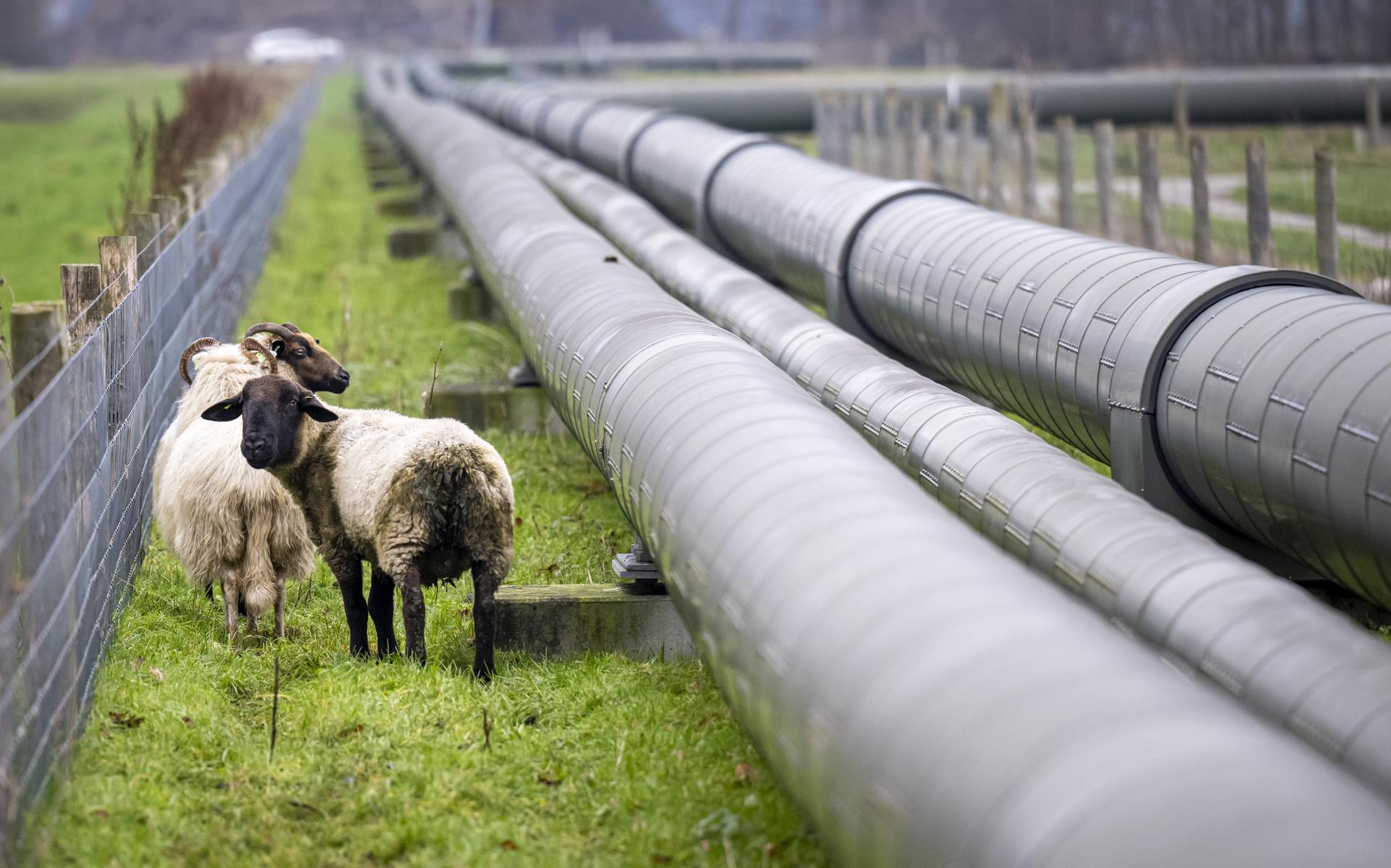 Emmen ziet geen heil in bezwaar tegen oliewinning bij Schoonebeek. 'Mosterd na de maaltijd'