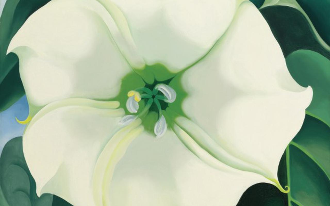 Jimson Weed / White Flower no. 1 (1932) – Georgia O’Keeffe.