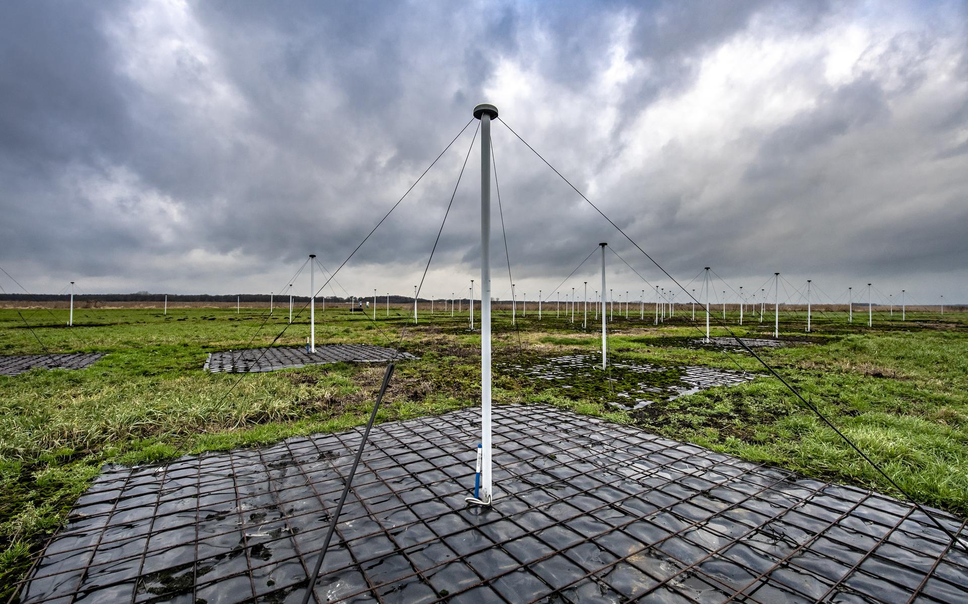Antennes van de LOFAR-radiotelescoop tussen Exloo en Buinen.