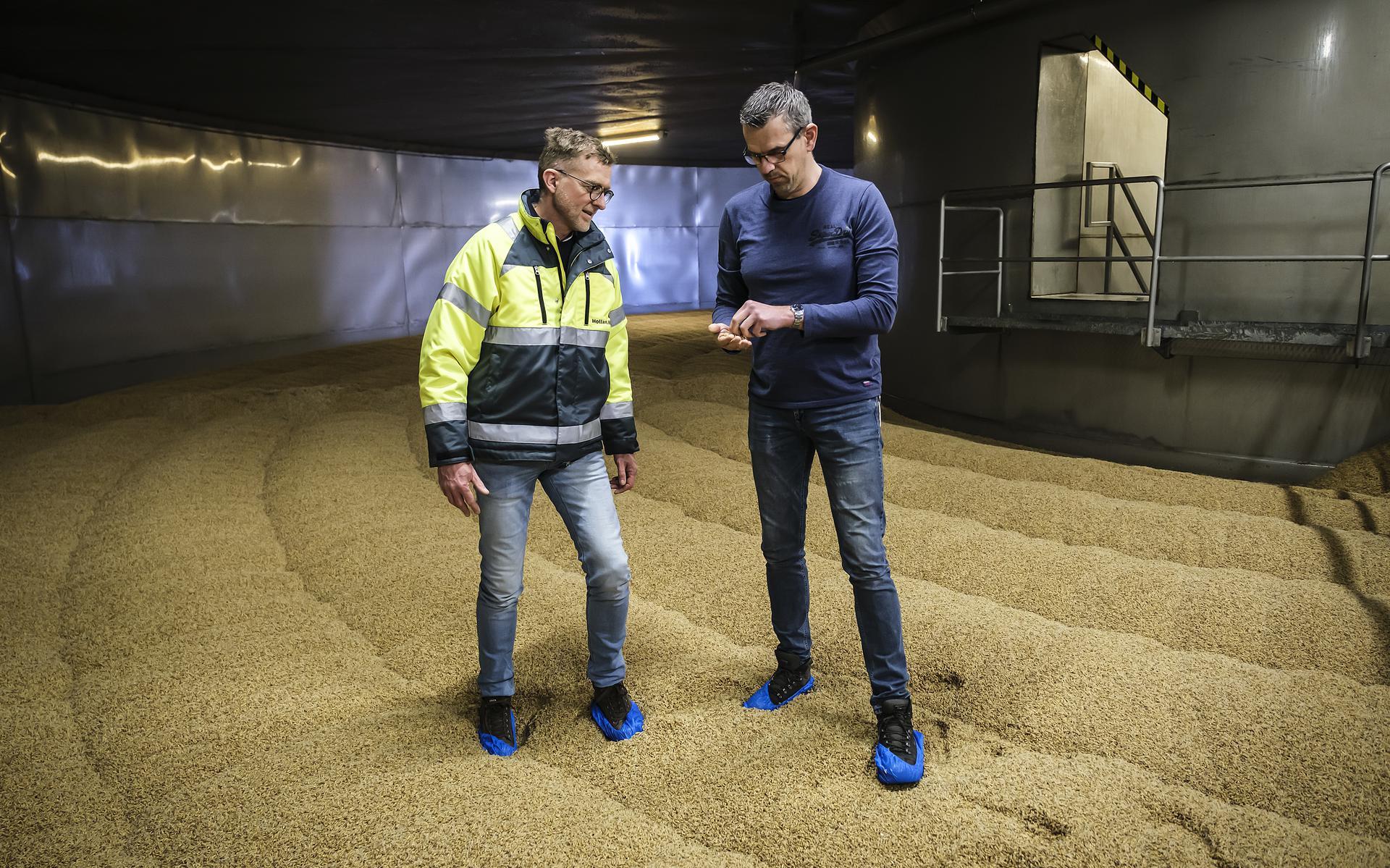 Henk Bijma (links) en Gert-Jan van Veen op de kiemvloer, een enorme langzaam ronddraaiende bak met 460 ton kiemende gerst. 'Een gerstkorrel is zeven dagen onderweg in deze fabriek.'