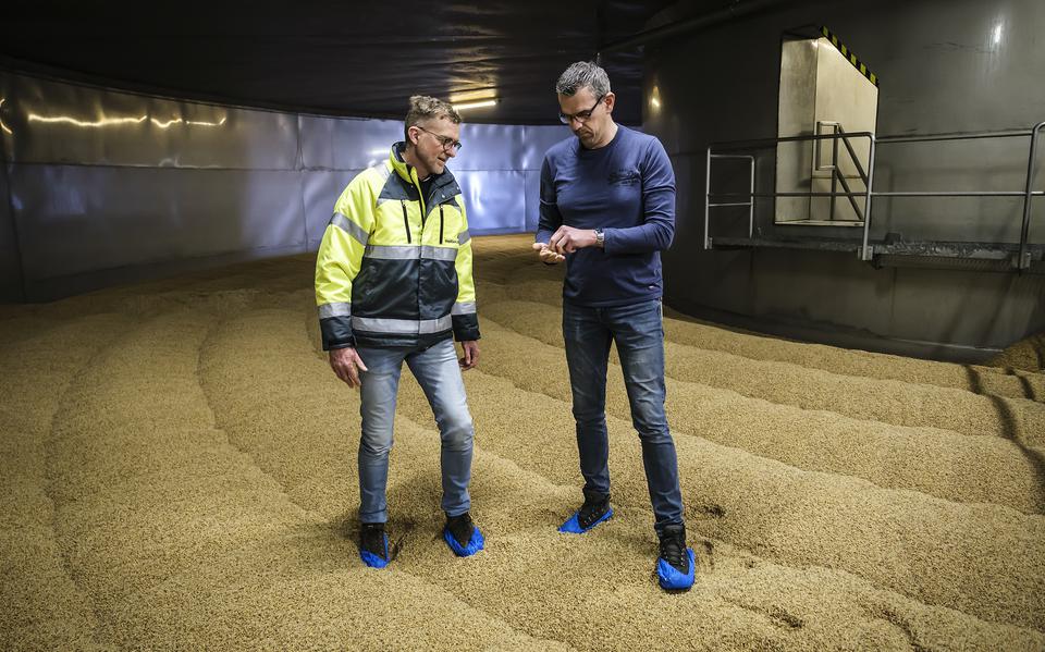 Henk Bijma (links) en Gert-Jan van Veen op de kiemvloer, een enorme langzaam ronddraaiende bak met 460 ton kiemende gerst. 'Een gerstkorrel is zeven dagen onderweg in deze fabriek.'