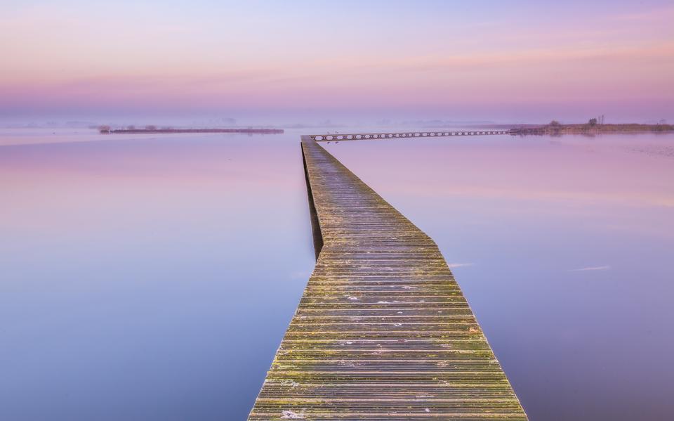 Het knuppelpad in de ochtend. Foto: Wilco van der Laan
