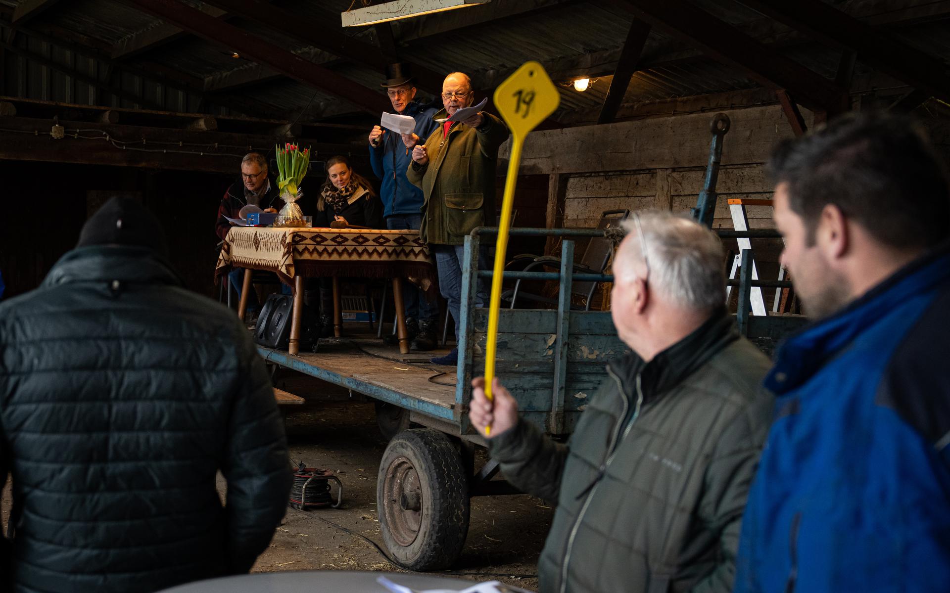 Een winnend bod bij de houtveiling van boermarke Yde-De Punt.