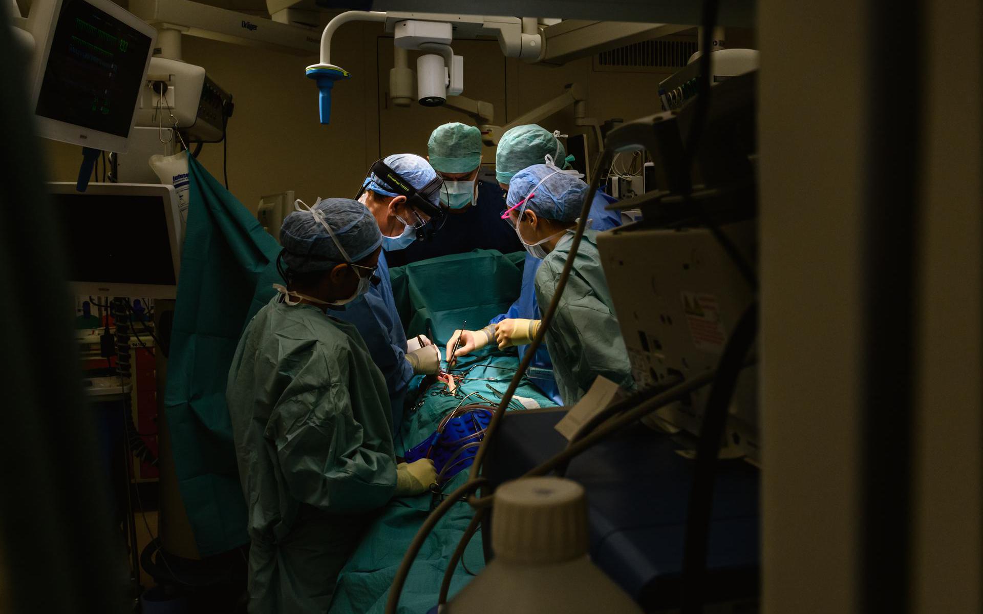 Hartoperatie in het Leids Universitair Medisch Centrum.