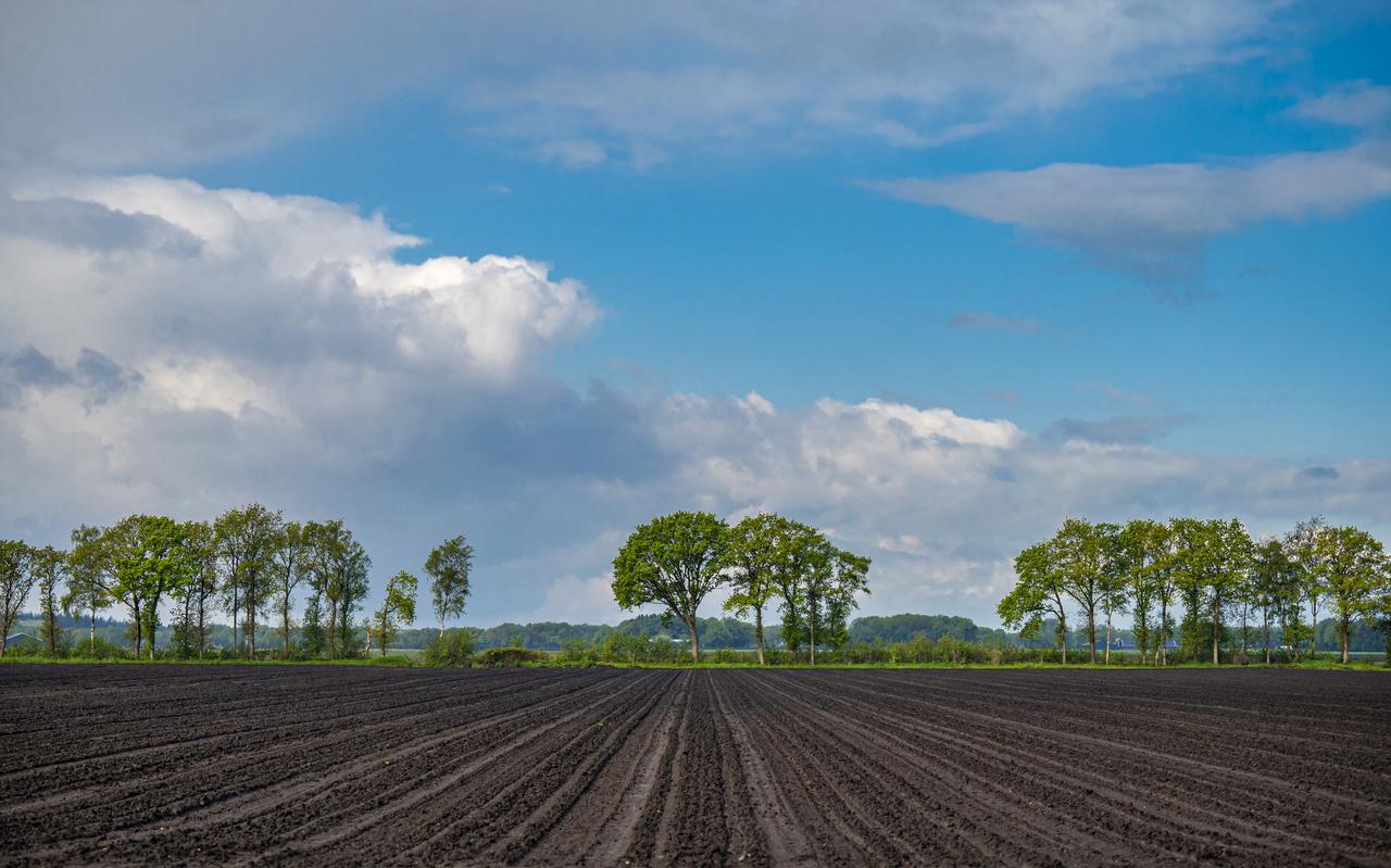 Op deze plek moet het zonnepark ongeveer komen. Op deze plek moet het zonnepark ongeveer komen.