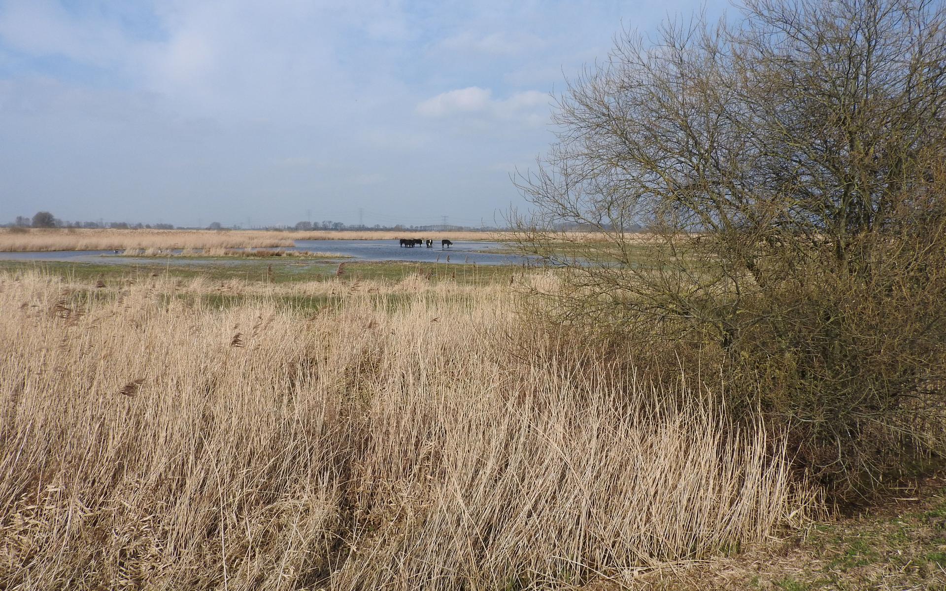 Het verhaal achter de bordjes 'Lutje Muntendam' en 'Zummertip' die je ziet als je een rondje Schildm