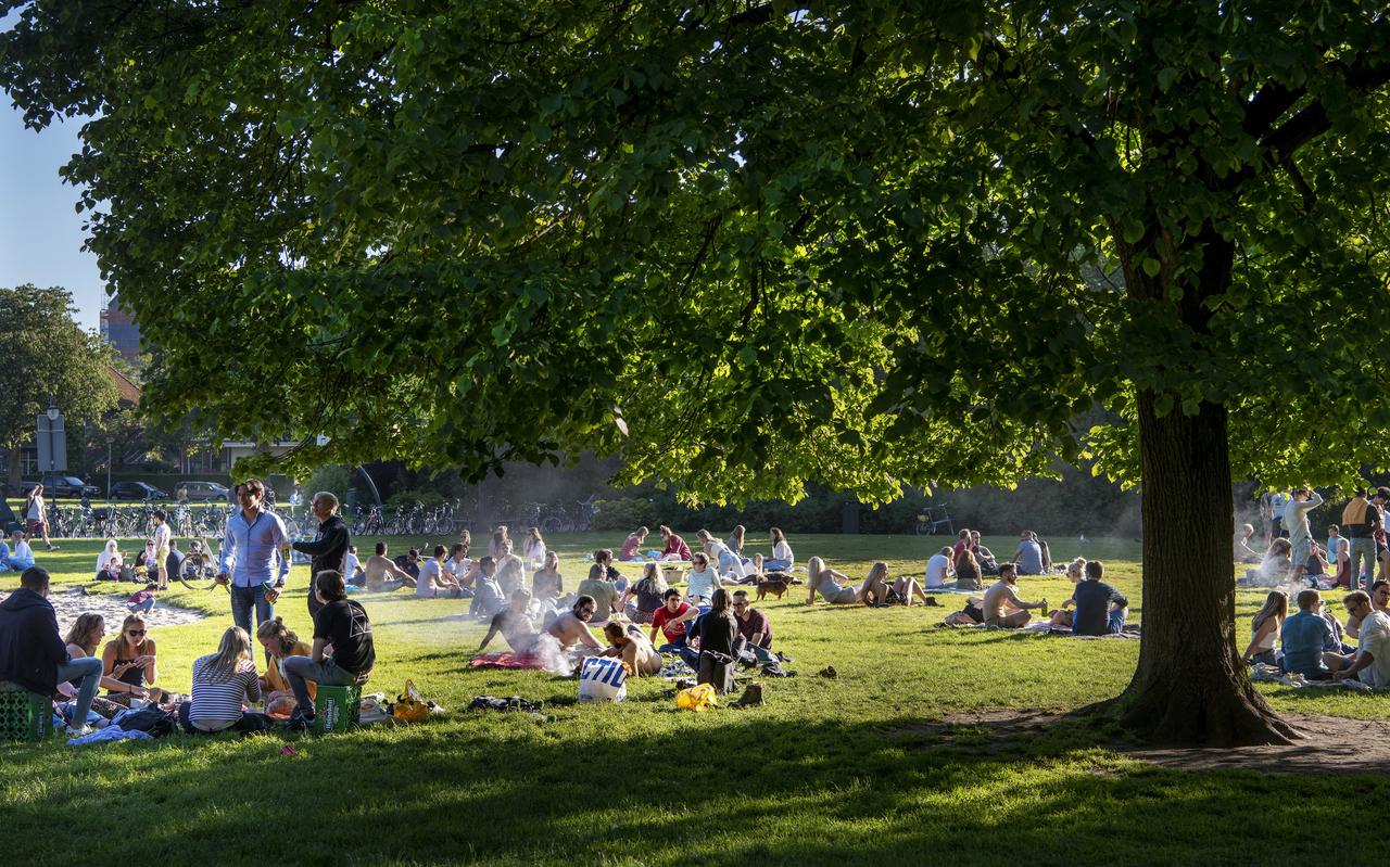 Gezellige drukte in het Noorderplantsoen. Gezellige drukte in het Noorderplantsoen.