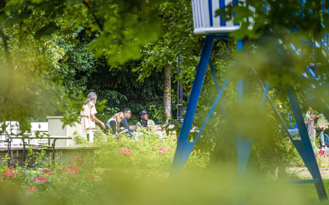 De verkeerstoren van het Verkeerspark kreeg eerder dit jaar een permanente plek in de Gouverneurstuin. De verkeerstoren van het Verkeerspark kreeg eerder dit jaar een permanente plek in de Gouverneurstuin.