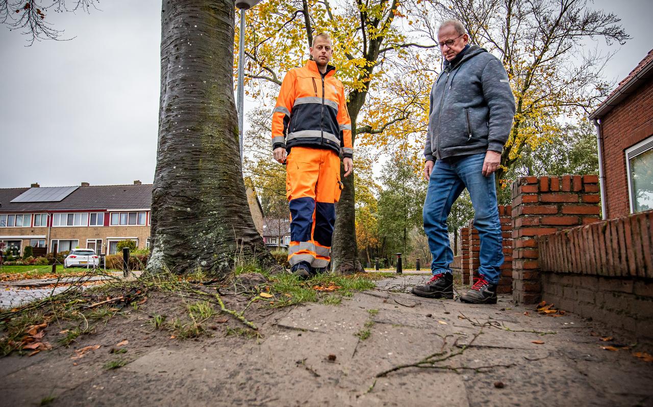 Jaap de Winter (rechts) en Rienus Ruinemans inspecteren de schade die de boomwortels aanrichten. Jaap de Winter (rechts) en Rienus Ruinemans inspecteren de schade die de boomwortels aanrichten.