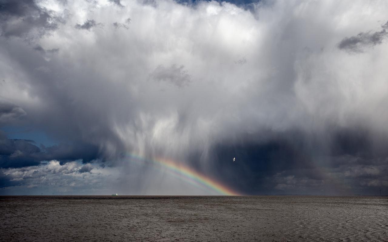 Donkere wolken pakken zich samen boven de Eems Dollard. De kwaliteit van het gebied staat onder grote druk. Donkere wolken pakken zich samen boven de Eems Dollard. De kwaliteit van het gebied staat onder grote druk.