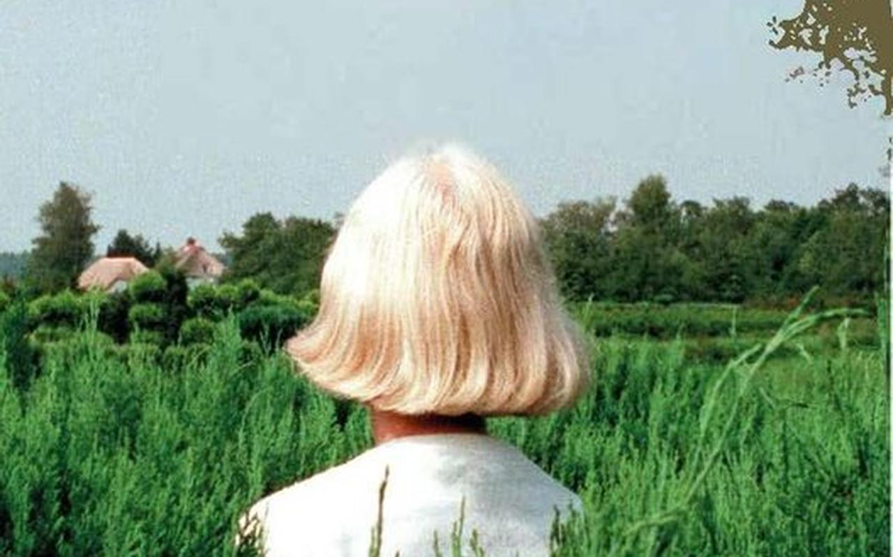 De debuutroman van Koen Caris. De debuutroman van Koen Caris.