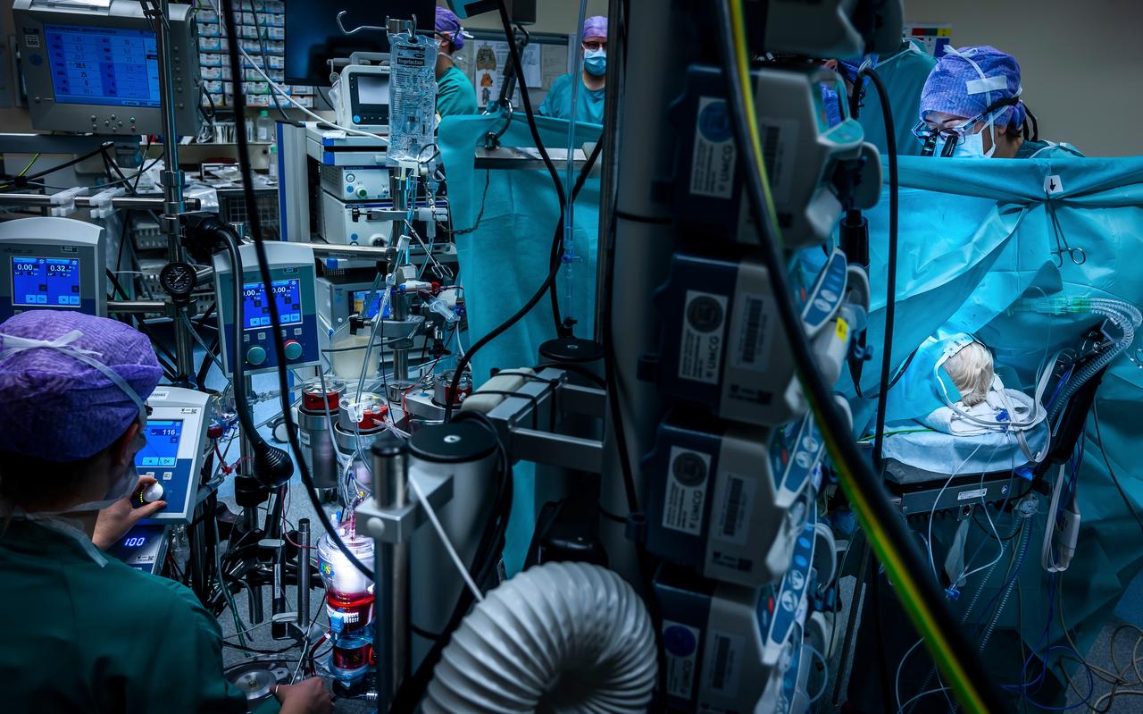 Operatie op de afdeling kinderhartchirurgie van het UMCG, in december vorig jaar. Operatie op de afdeling kinderhartchirurgie van het UMCG, in december vorig jaar.