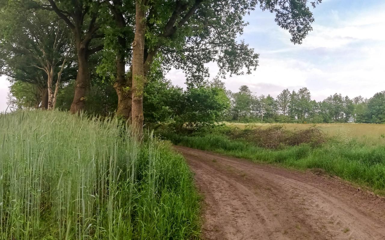 De omgeving van Benneveld, waar de rust heerst. De omgeving van Benneveld, waar de rust heerst.