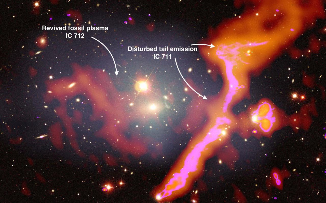 Een deel van het optische beeld van de groep sterrenstelsels Abell 1314. Dit cluster bevindt zich op een afstand van bij benadering 460 miljone lichtjaren van de aarde. De in rood en paars aangegeven gebieden zijn met LOFAR ontdekt. Foto: Amanda Wilber/LOFAR Surveys Team/NASA/CXC