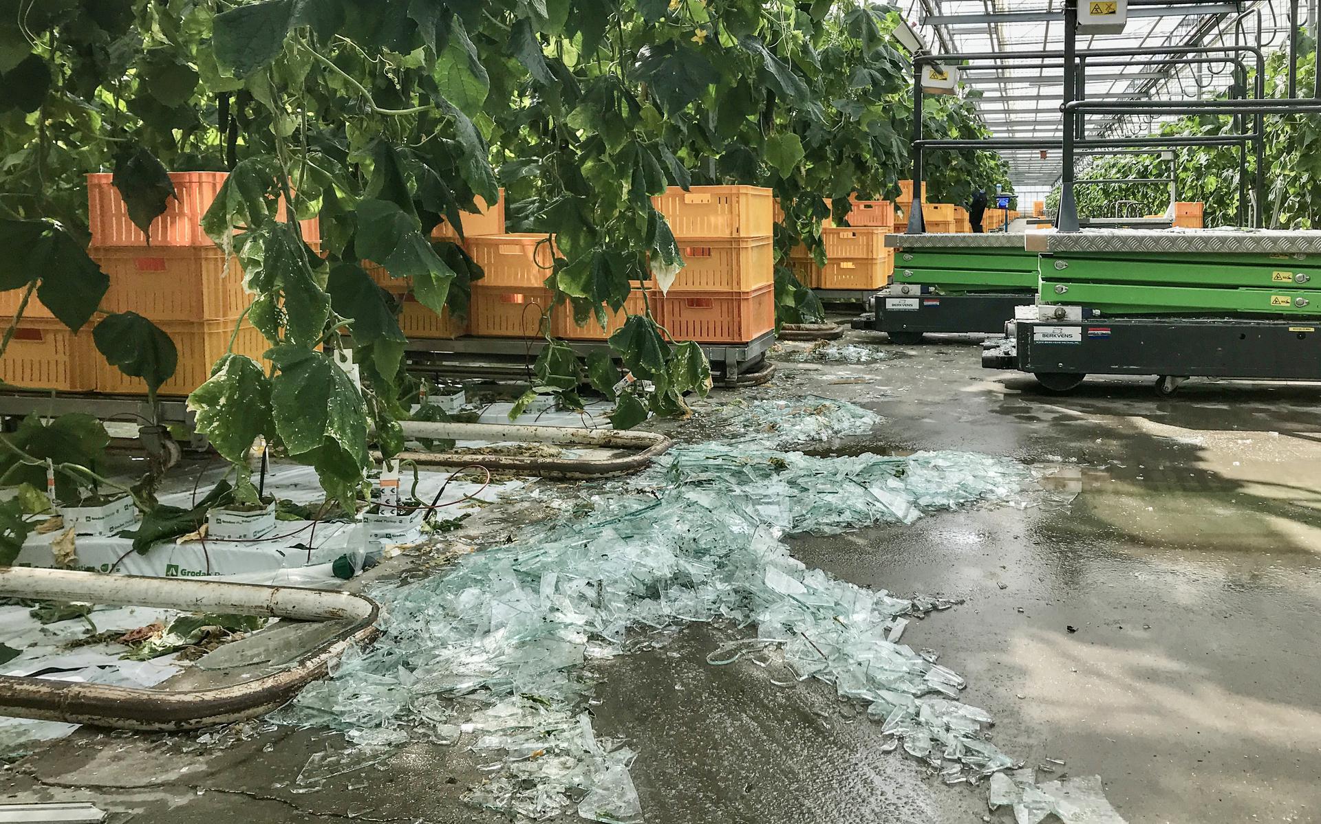 Een windhoos richtte donderdag flinke schade aan bij komkommerkwekerij Polman in Erica. 
