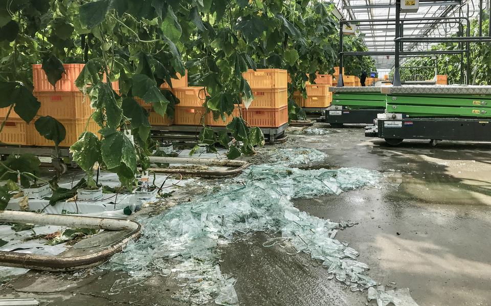 Een windhoos richtte donderdag flinke schade aan bij komkommerkwekerij Polman in Erica. 