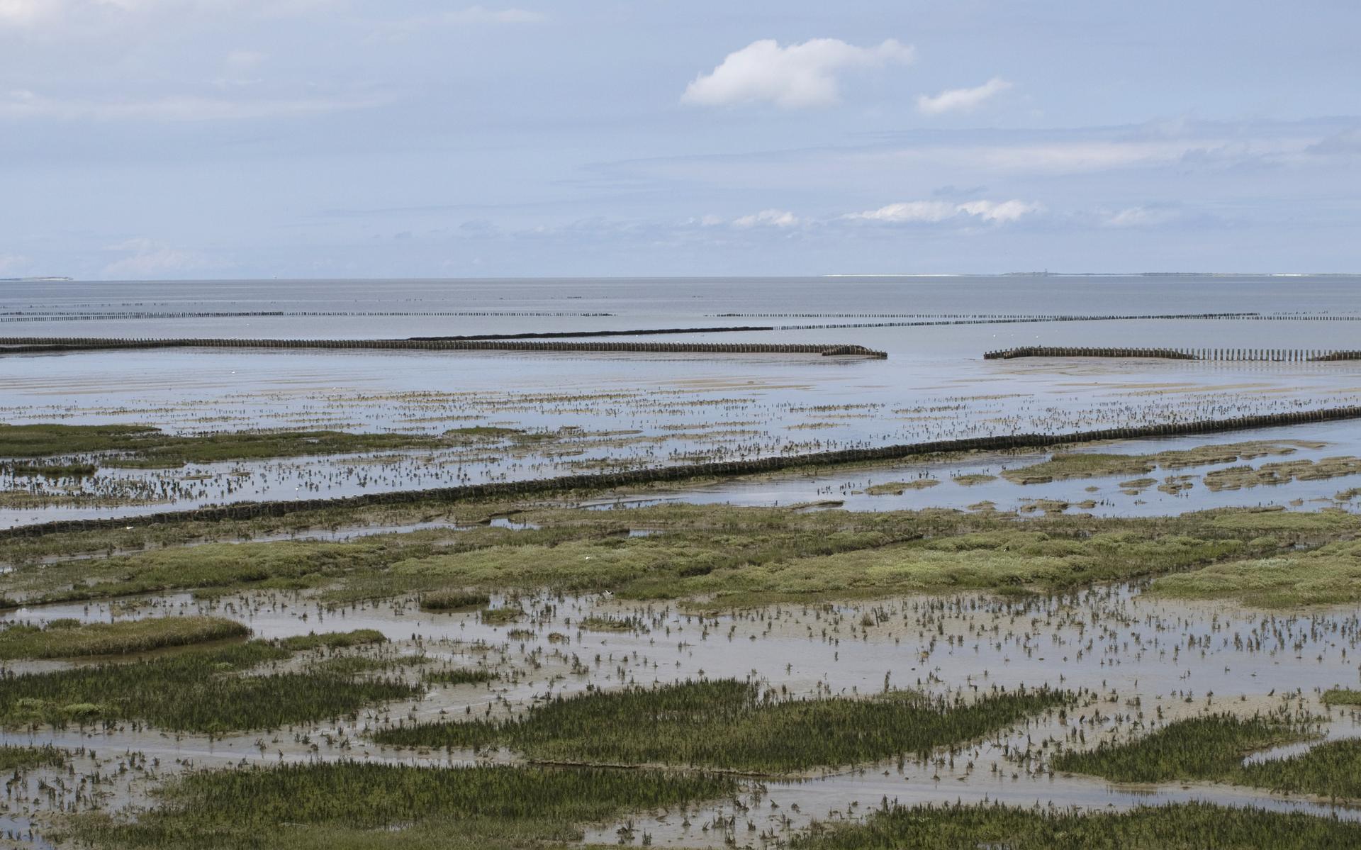 Het Uithuizerwad.