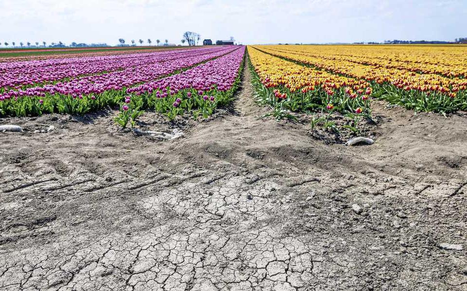 Droogte Na Kletsnatte Lente Komen We In De Knel Met Water Risico Op