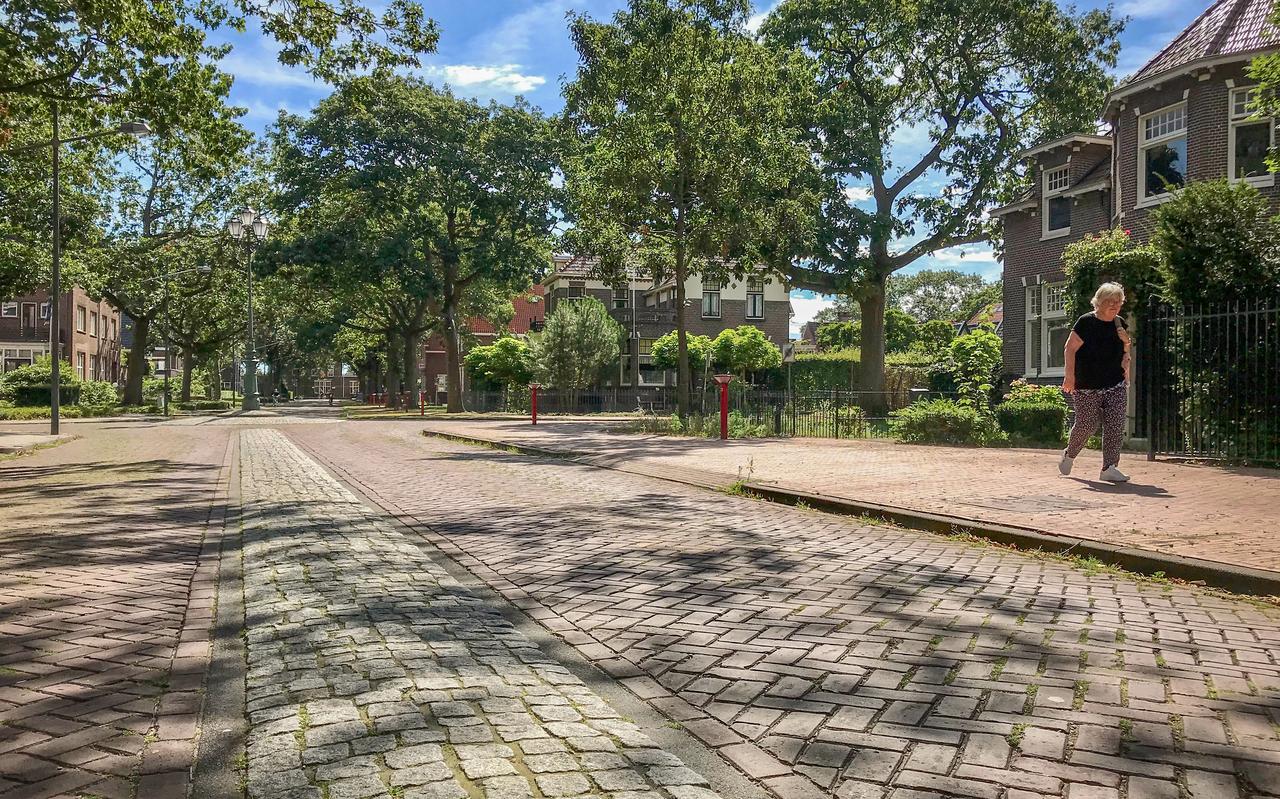 De vele bomen, zoals in de Stationsstraat, bepalen het karakter van Veendam als Parfkstad. De vele bomen, zoals in de Stationsstraat, bepalen het karakter van Veendam als Parfkstad.