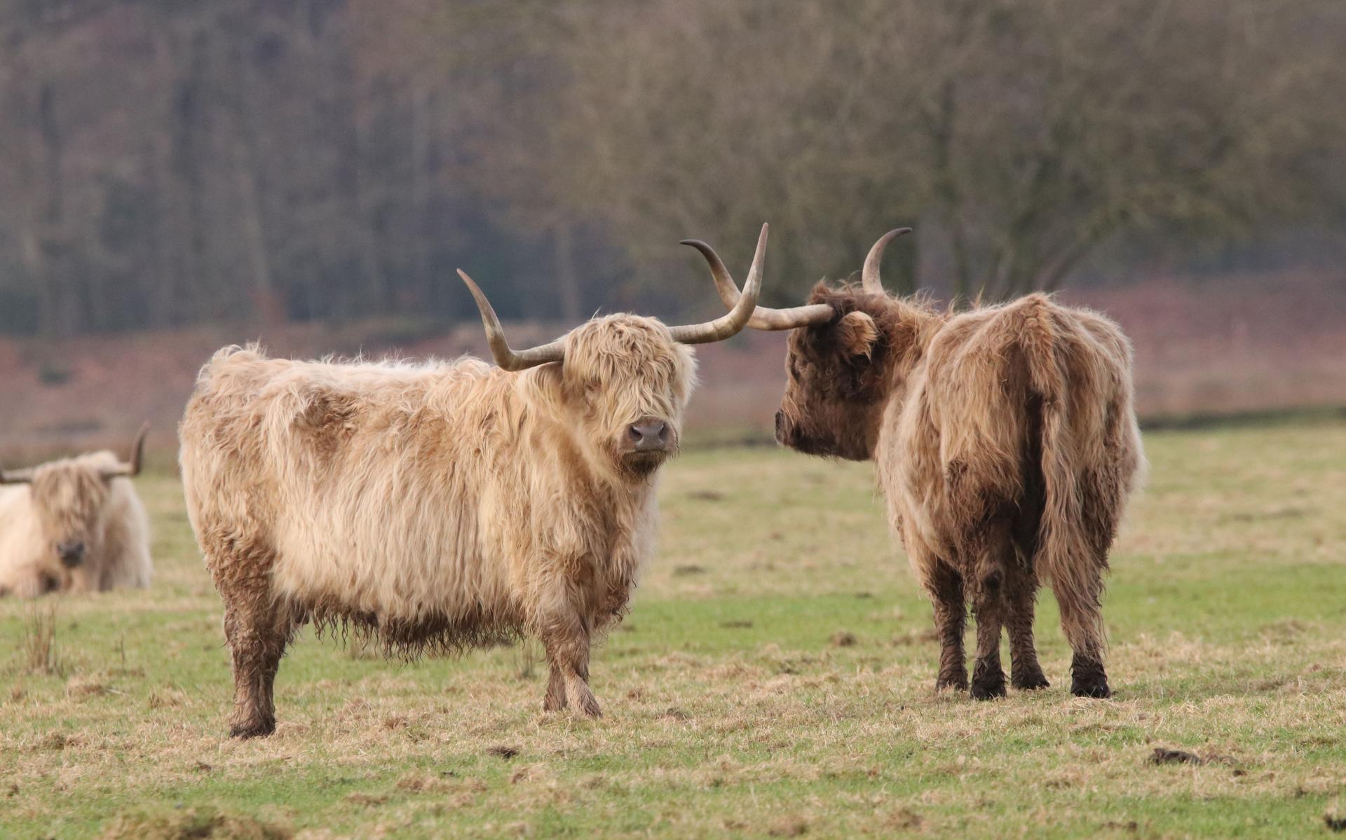 Mooiste Kiek van de Week | door Marianne Kregel uit Oosterhesselen