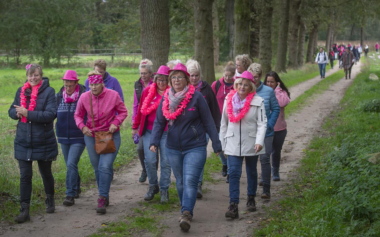 Wandelaars tijdens de laatste Pink Walk in 2019.