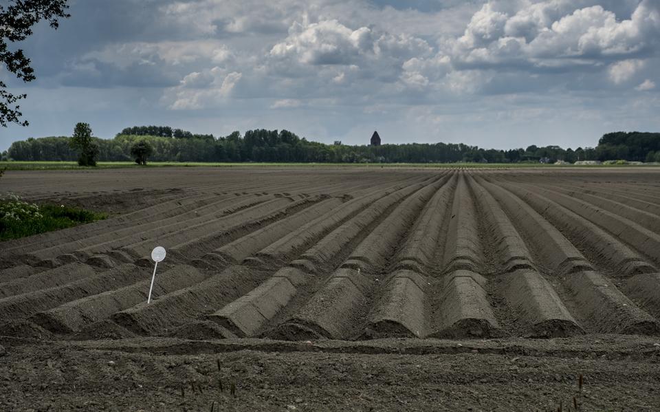 In Loppersum gingen relatief veel huizen van het gas af.